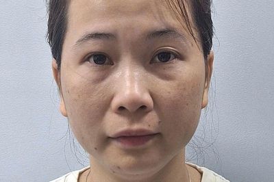 Trần Thị Cẩm Hoa bị bắt, lật tẩy chiêu thức lừa đảo tiền tỷ