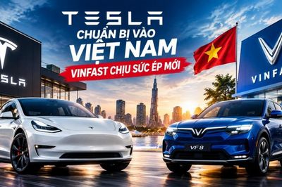 Tesla chuẩn bị vào Việt Nam, VinFast chịu sức ép mới