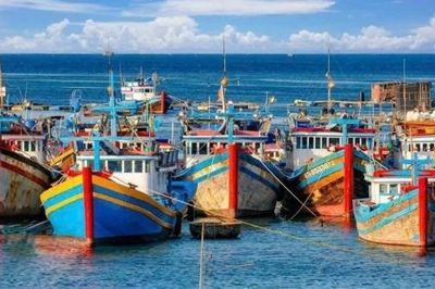 Khẩn trương làm rõ vụ việc tàu cá vi phạm nghiêm trọng trên biển