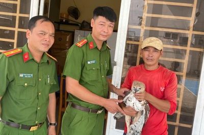 Người dân An Giang chủ động giao nộp chim diều hoa Miến Điện