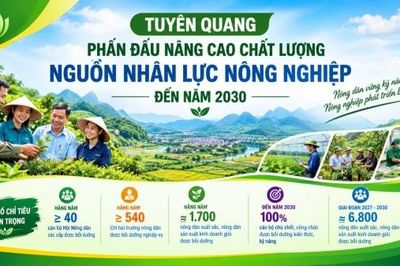 Tuyên Quang nâng cao chất lượng nguồn nhân lực nông nghiệp đến năm 2030