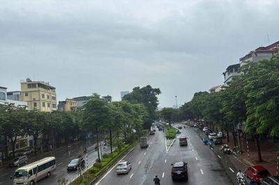 Hà Nội xây dựng kế hoạch trồng cây, trồng rừng năm 2027