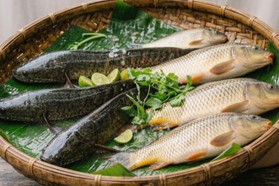 6 mẹo chọn cá tươi ngon và an toàn