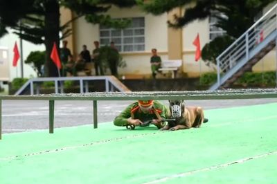 'Chiến binh 4 chân' trổ tài, chinh phục thao trường nghiệp vụ