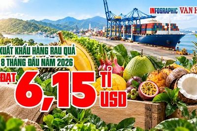Ai đã chi 3,87 tỉ USD mua rau quả Việt Nam sau 8 tháng?