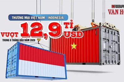 8,87 tỉ USD hàng Indonesia vào Việt Nam, nhập siêu 4,77 tỉ USD