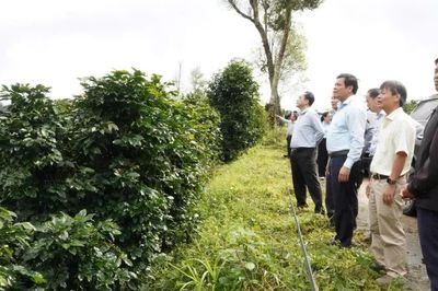 Khát vọng vươn lên từ vùng đất khó