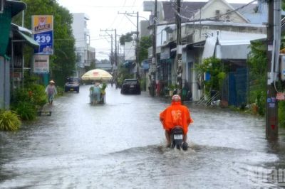 Vùng nội ô Cà Mau ngập sâu trong mưa