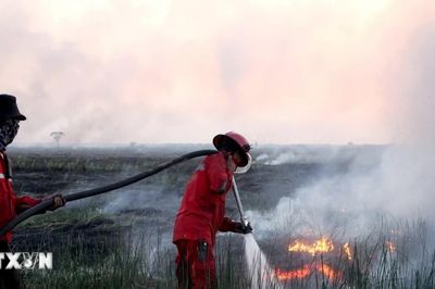 El Nino có thể gây thêm gần 39.000 ca tử vong tại Đông Nam Á