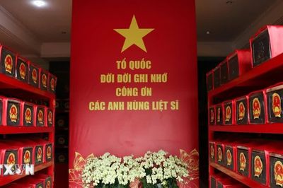 Sau 3 tháng, quy tập được 664 hài cốt liệt sỹ tại công viên Lê Thị Riêng