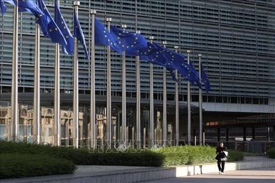 Hệ thống cảnh báo sớm tấn công mạng của EU chưa thể vận hành