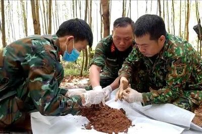 Quảng Trị: Hoàn thành mục tiêu lấy mẫu xác định danh tính liệt sĩ