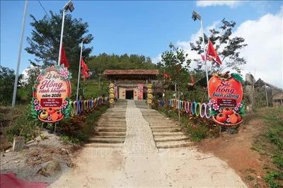 Phát triển quả hồng vành khuyên gắn với du lịch trải nghiệm