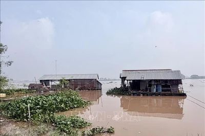 An Giang cảnh báo nguy cơ ngập do lũ kết hợp triều cường