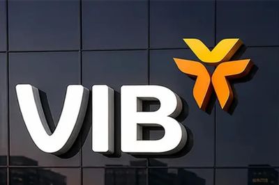 3 khoảng trống phía sau bức tranh lợi nhuận của VIB