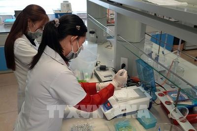 Vĩnh Long: 2,1 triệu lao động và bài toán nhân lực chất lượng cao