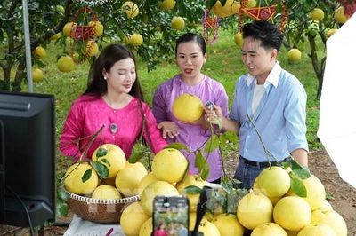 Đưa sản phẩm OCOP vươn xa trên nền tảng số