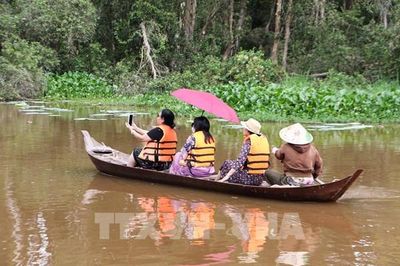 Mùa nước nổi, Đồng Tháp đẹp theo một cách rất riêng