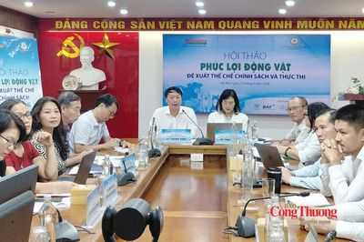Phúc lợi động vật: Việt Nam đang ở đâu trên bản đồ thế giới?