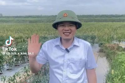 Chủ tịch UBND xã vùng lũ đăng video trên mạng xã hội động viên, hướng dẫn bà con chăm sóc rau màu