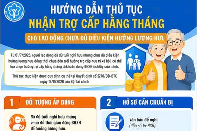 Thêm lựa chọn cho người chưa đủ điều kiện hưởng lương hưu