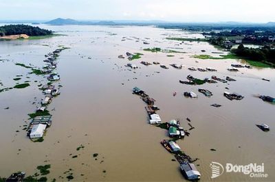 Cảnh báo: nguy cơ ngập lụt diện rộng do triều cường, mưa lớn và xả lũ thượng nguồn