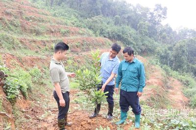 Hội Hoan: Đưa nghị quyết vào cuộc sống