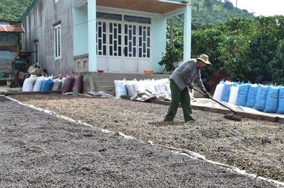 Tái cấu trúc 2 nhóm cây trồng trụ cột