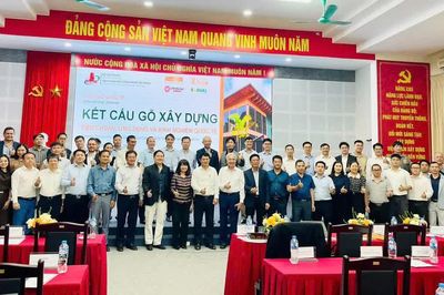 Kết cấu gỗ: Kinh nghiệm quốc tế từ tiêu chuẩn đến thiết kế chịu lửa