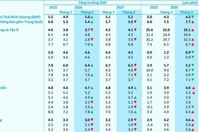 ADB nâng dự báo tăng trưởng kinh tế Việt Nam lên 7,8%