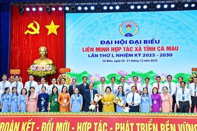 Hợp tác xã Cà Mau: Từ liên kết sản xuất đến nâng tầm giá trị sản phẩm