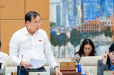 Cần cơ chế bảo vệ dữ liệu thương mại, bí mật kinh doanh