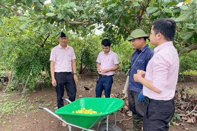 Tín dụng chính sách: Điểm tựa cải thiện thu nhập cho người dân phía Tây Đắk Lắk