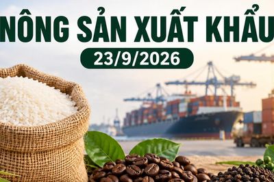 Nông sản xuất khẩu 23/9: Gạo giữ giá, hồ tiêu Việt Nam trên 6.000 USD/tấn