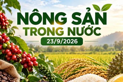 Nông sản trong nước 23/9: Cà phê giảm sâu, hồ tiêu mất tới 1.000 đồng/kg