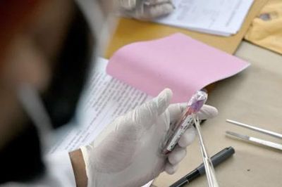 Hệ thống pháp y Nepal quá tải nặng vì giám định hàng ngàn người chết vì lũ quét