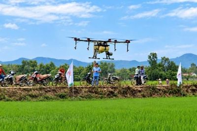 Công nghệ mở hướng phát triển nông nghiệp đa giá trị ở Đà Nẵng