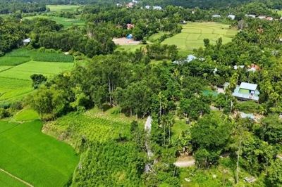Tiên Phước nâng giá trị từ những khu vườn xanh