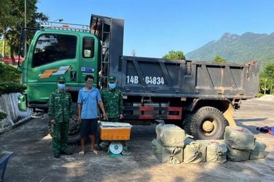 Quảng Ninh: Phát hiện xe chở 400kg nầm lợn đông lạnh không rõ nguồn gốc.