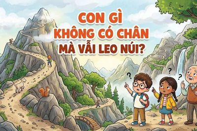Con gì không có chân mà vẫn leo núi?