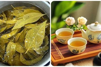 Uống nước lá vối mỗi ngày có giúp giảm cân?