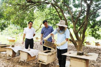 Nâng cao giá trị kinh tế của nông sản địa phương qua 'chợ số'