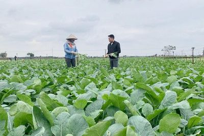 Cơ hội mở rộng thị trường cho nông sản Việt