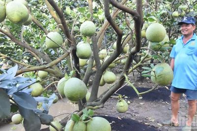 Nông sản không phụ thuộc vào một quốc gia nhập khẩu