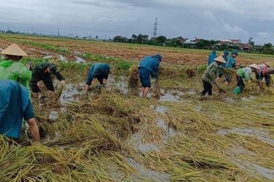 Đắk Lắk chủ động ứng phó, khắc phục hậu quả mưa lớn, ngập lụt, lũ quét, sạt lở đất