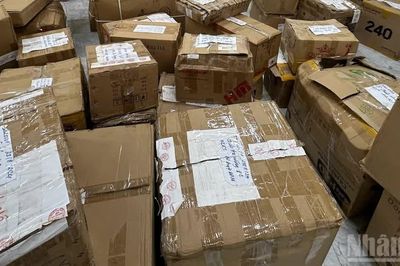 Quảng Ngãi khẩn trương xử lý tang vật, phương tiện vi phạm bị tồn đọng