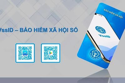 Có thông tin sổ bảo hiểm xã hội, thẻ bảo hiểm y tế bản điện tử trên VssID