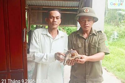 Bàn giao 1 cá thể rùa!