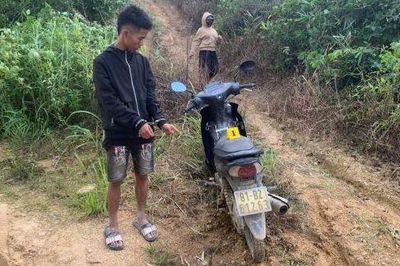 'Đạo chích' đi rẫy