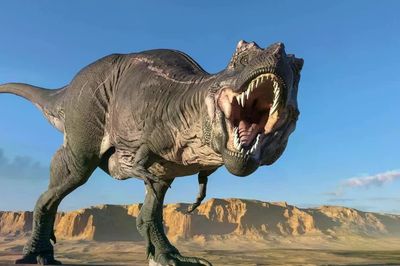 Phát hiện mới: Thân nhiệt của khủng long bạo chúa gần bằng con người